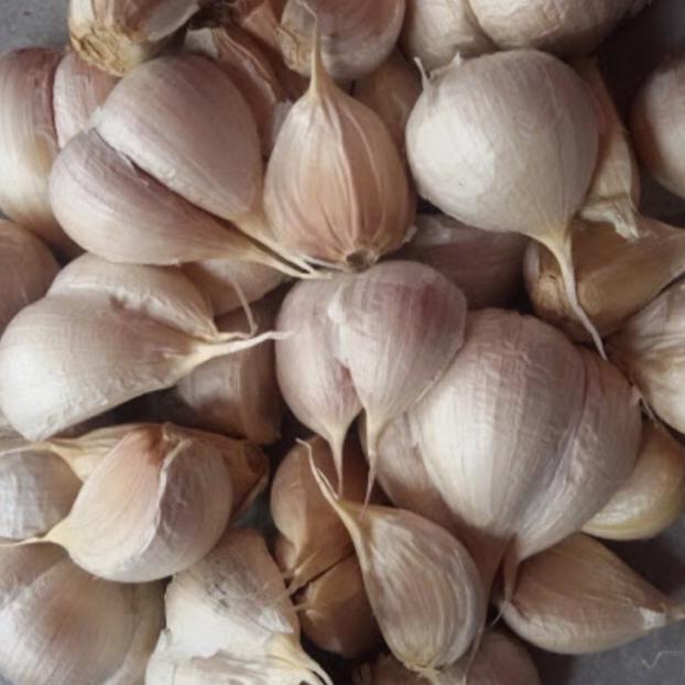 

5.5 COD bawang Putih Kating 500gram / 250gram