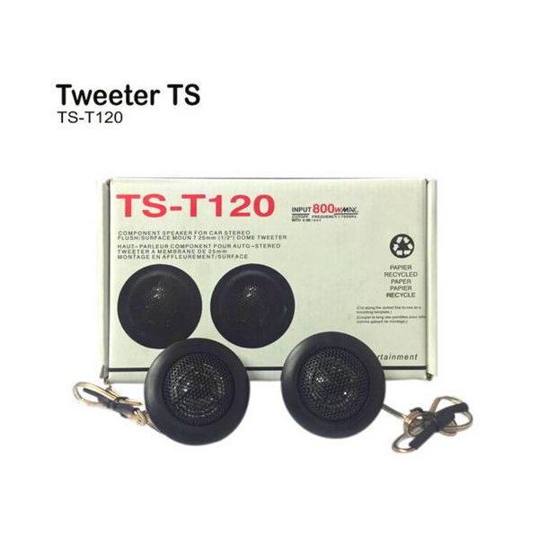 Bisa COD Tweeter TS-T120/Tweeter Speaker Mobil/Tweeter Mobi Terbaik (rw00bs)