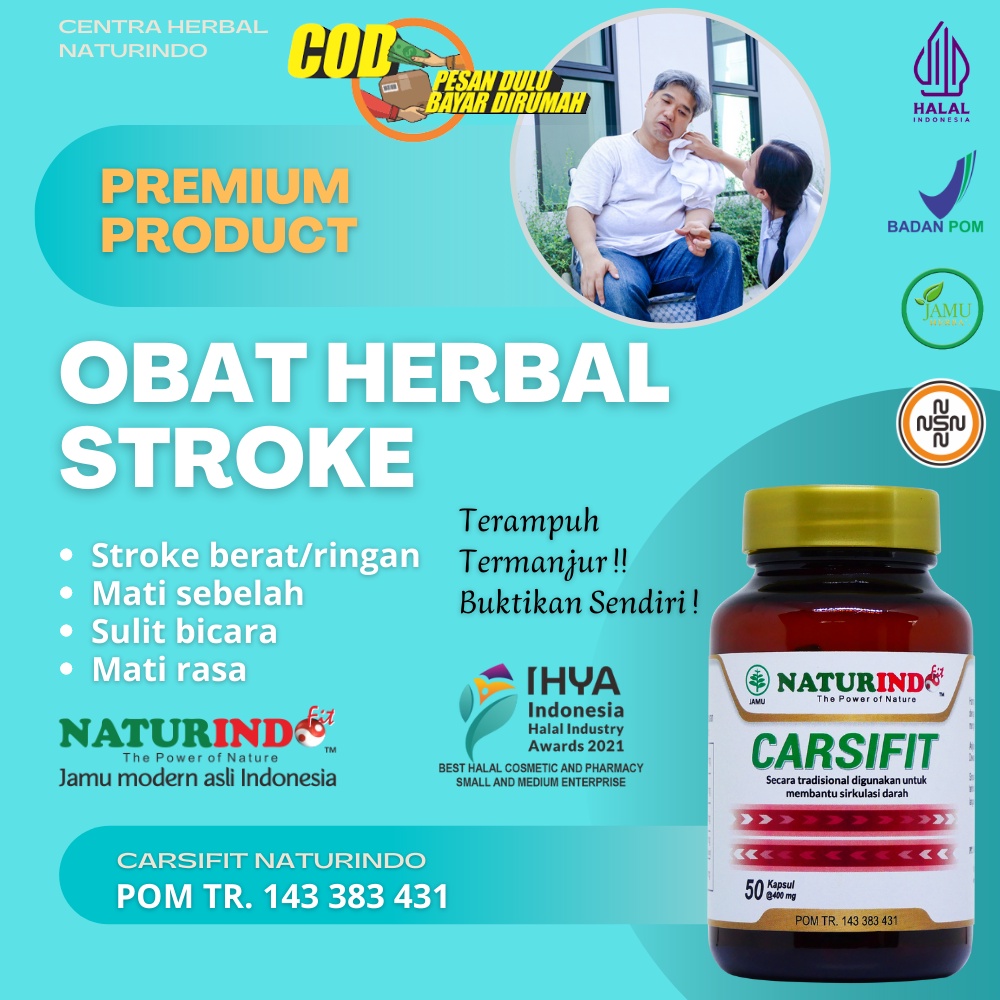 Obat Stroke Ringan Berat Obat Stroke Struk Carsifit Naturindo Obat Stroke Herbal Obat Struk Mati Ras