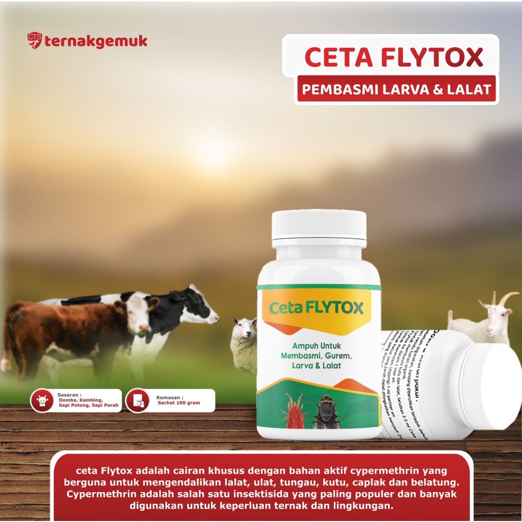 OBAT LALAT SAPI KAMBING PALING AMPUH CETA FLYTOX PEMBASMI NYAMUK LALAT LARVA UNTUK KANDANG TERNAK