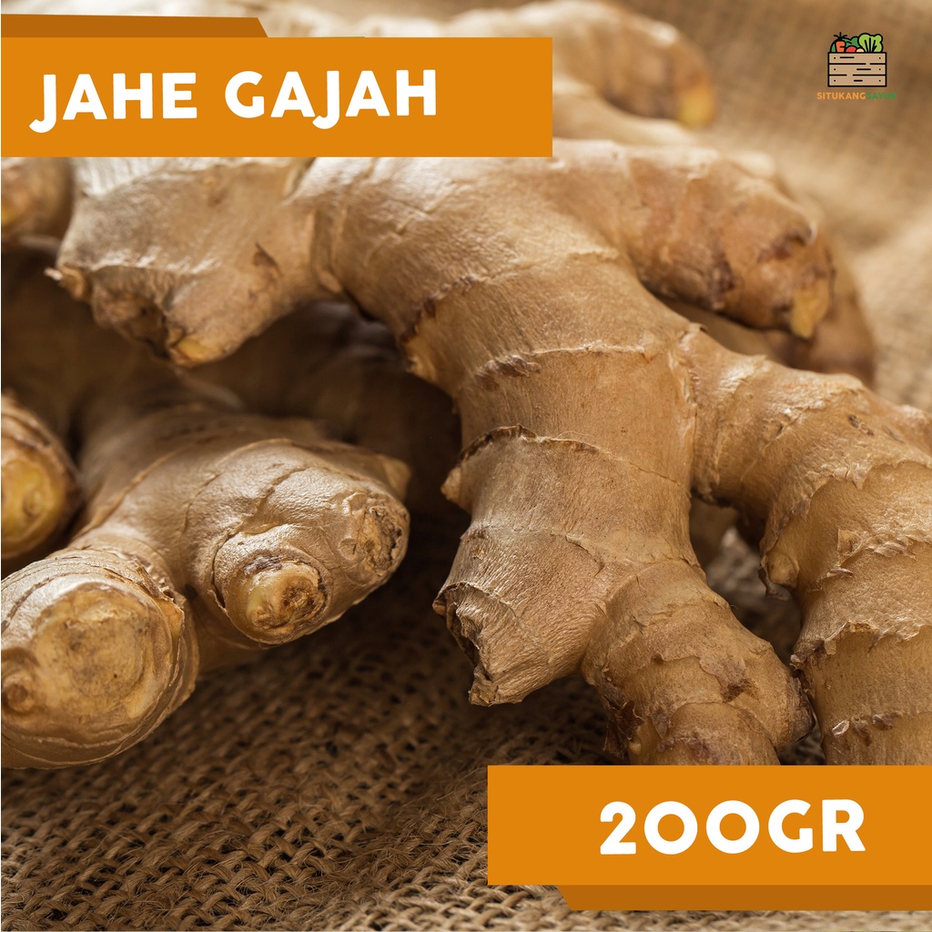 

Jahe Gajah Segar | 200gr (Kota Bandung & Sekitar)