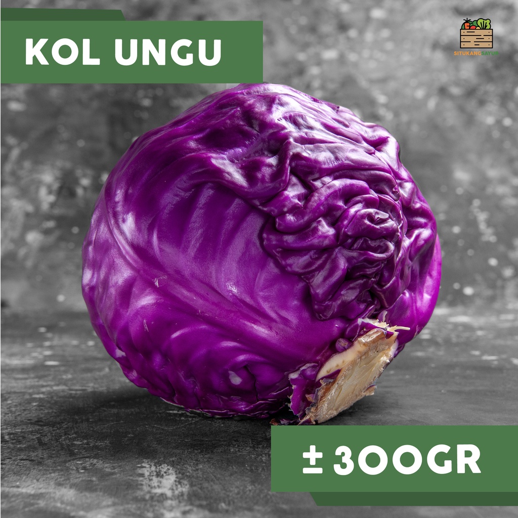 

Sayur Kol Kubis Ungu | ±300gr (Kota Bandung & Sekitar)