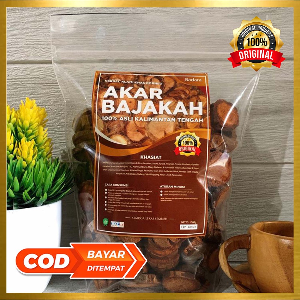 1Kg Akar Bajakah Tampala SUPER (BADARA) Kalimantan Siap Seduh Obat Jantung &amp; Stroke (100% ORIGINAL)