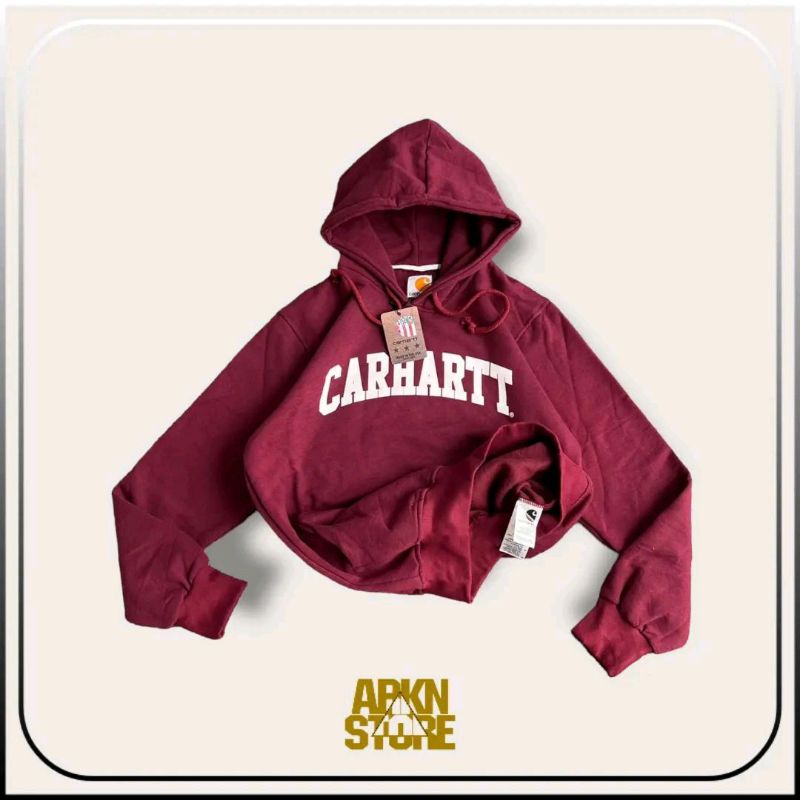 HOODIE CARHART full TAG