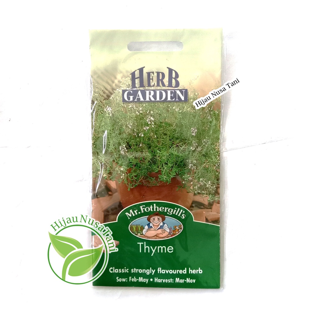 BENIH THYME Repack (15 biji) / Ecer / Bijian / Seribuan - tanaman herbs bumbu rempah daging masakan 