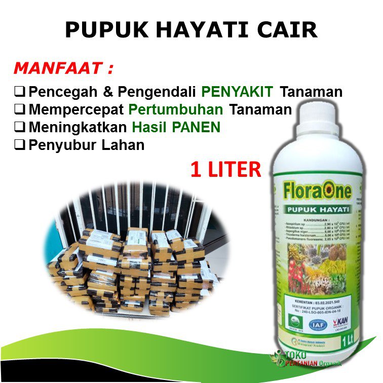 TRICODERMA fungisida hayati Obat penyakit akar tanaman, PGPR Pupuk Cair Perkebunan Sawit