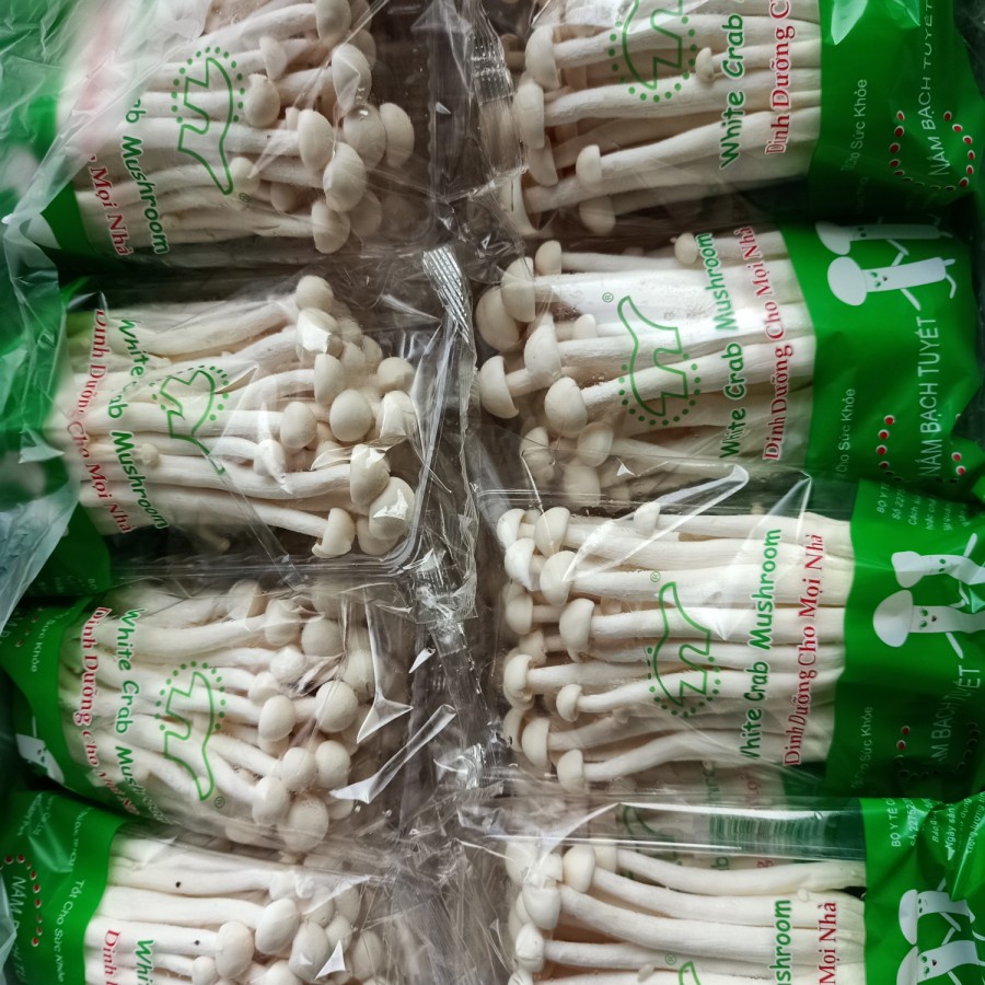 

Jamur Snow White Seafood 6kg