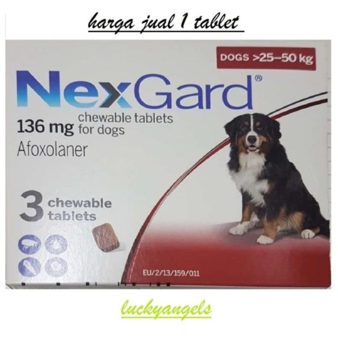 nexgard obat kutu anjing xl 25 50kg