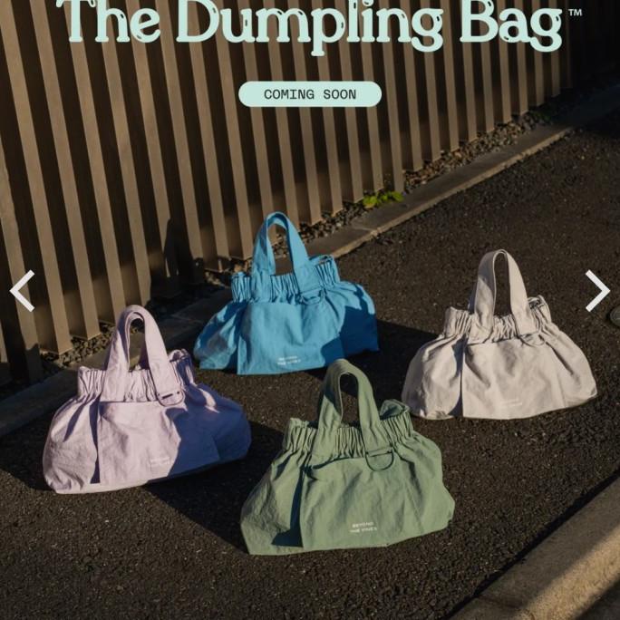 NEW BTV DUMPLING BAG COLOR MICRO XS M