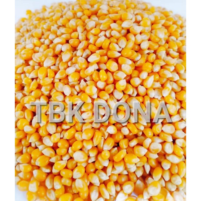 

STOK TERBATAS JAGUNG POPCORN REPACK 500 GR MURAH