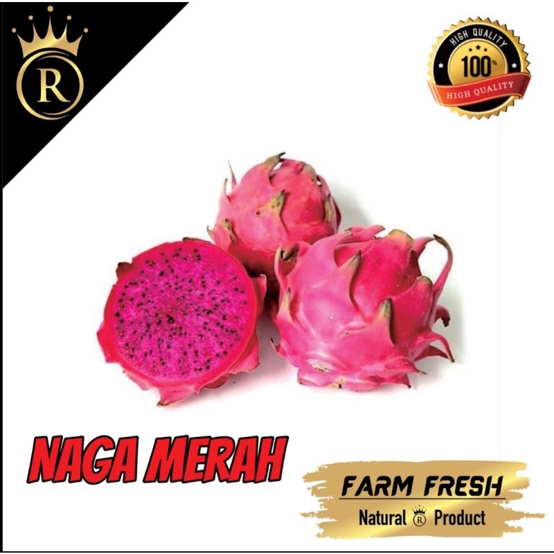 

BUAH NAGA MERAH 1Kg