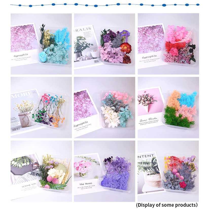 Inmilcia Bunga Kering Aromatherapy Real Dried Flower A015 Peony Artificial Peony Artificial Bucket Bunga Artificial Bucket Bunga Artificial Bunga Artificial Mahar Bunga Artificial Mahar Bouquet Bunga Artificial Bouquet Bunga Artificial Bunga Artificial Be