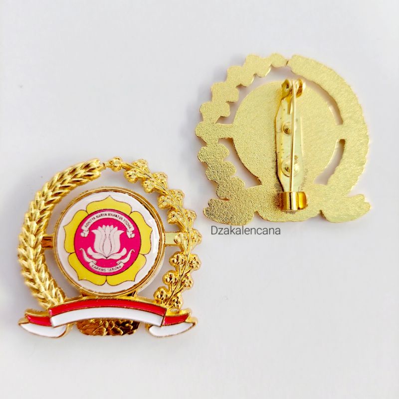Pin Karang Taruna