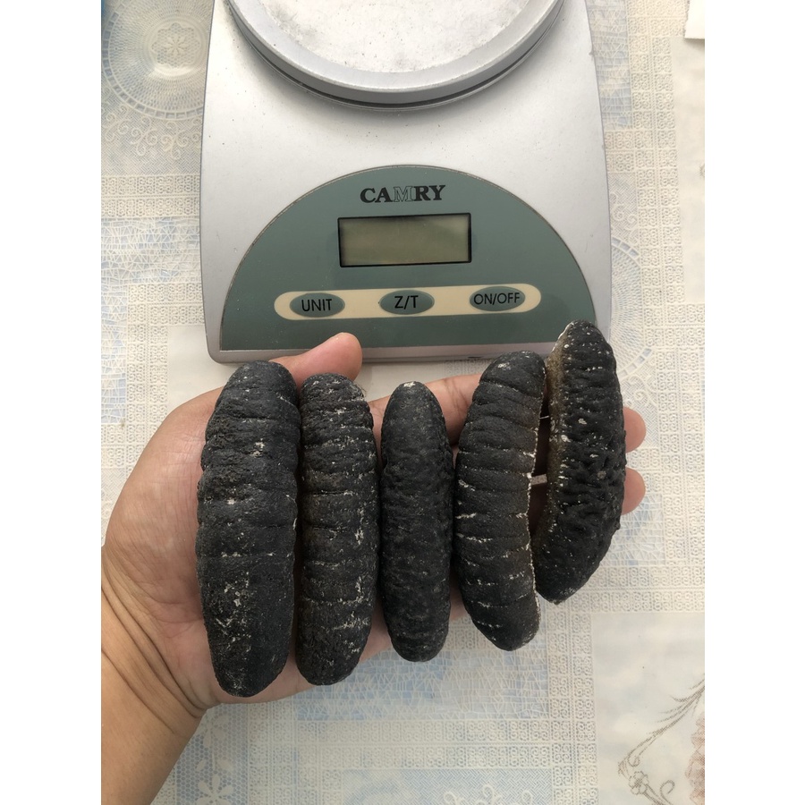 

teripang gosok isi 20-30pc/kg PREMIUM TAPI MURAH