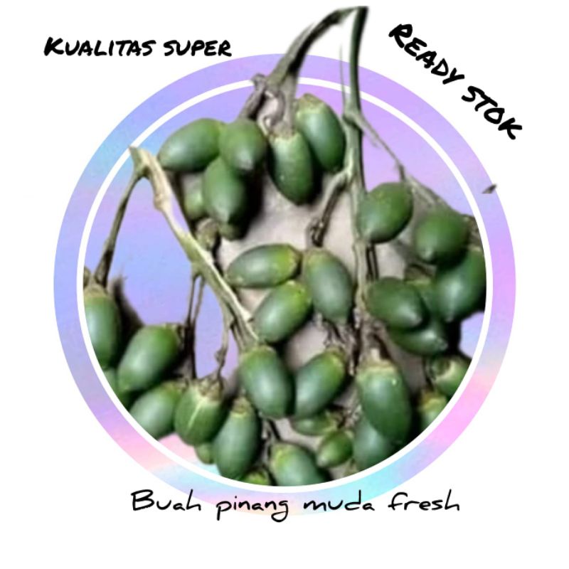 

Buah pinang muda fresh 500 gram