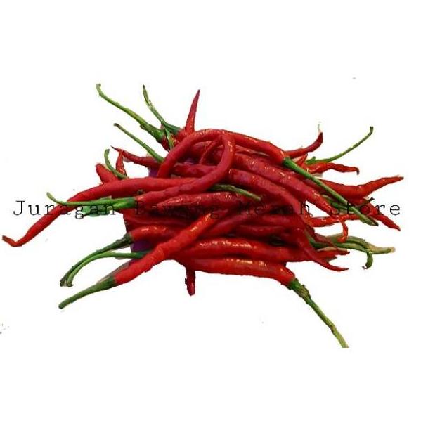 

⚡COD⚡ Cabe merah keriting