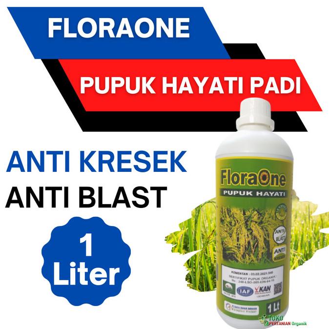Pupuk Hayati tanaman padi ketan cair terbaik, Fungisida FLORAONE padi Distributor Pupuk Organik