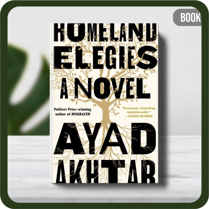 

Buku - Ayad Akhtar Homeland Elegies