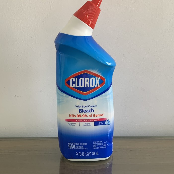 Clorox Toilet Bowl Cleaner Bleach [STA]