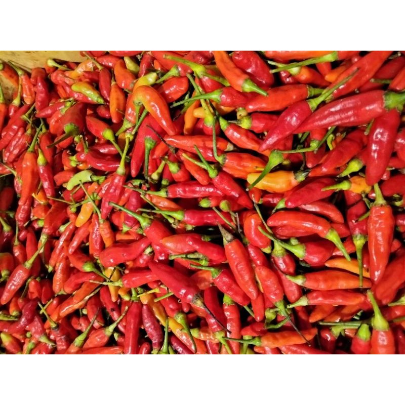 

cabe rawit merah