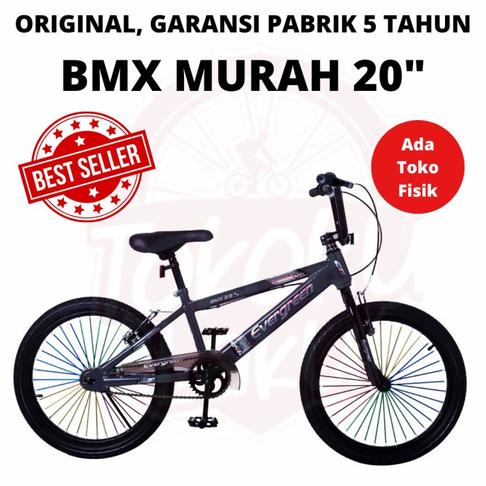 Terlaris Bmx Evergreen 20 Inch Sepeda Murah Anak