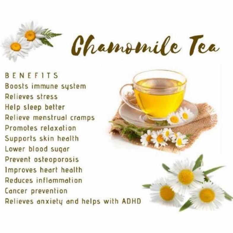 

Bisa Cod Chamomile Tea Chamomile Flower Tea / Teh Bunga Camomile (30 Tea Bag)