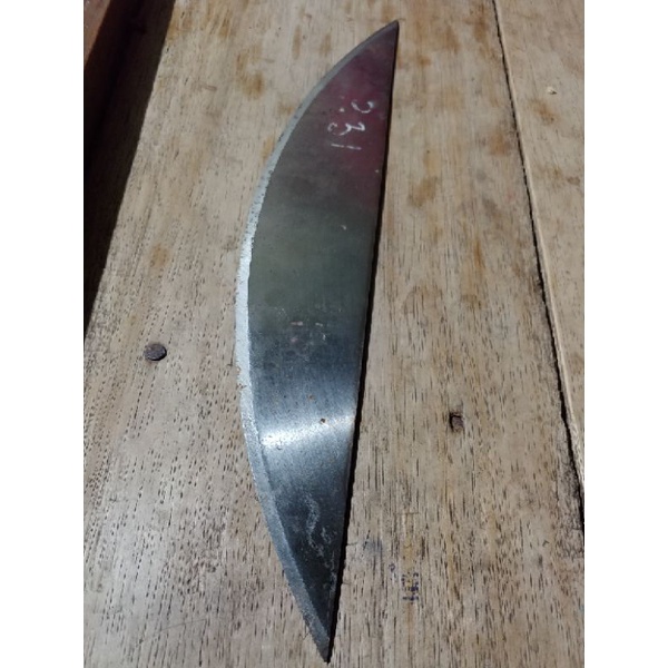 baja hss tkm germany p. 32