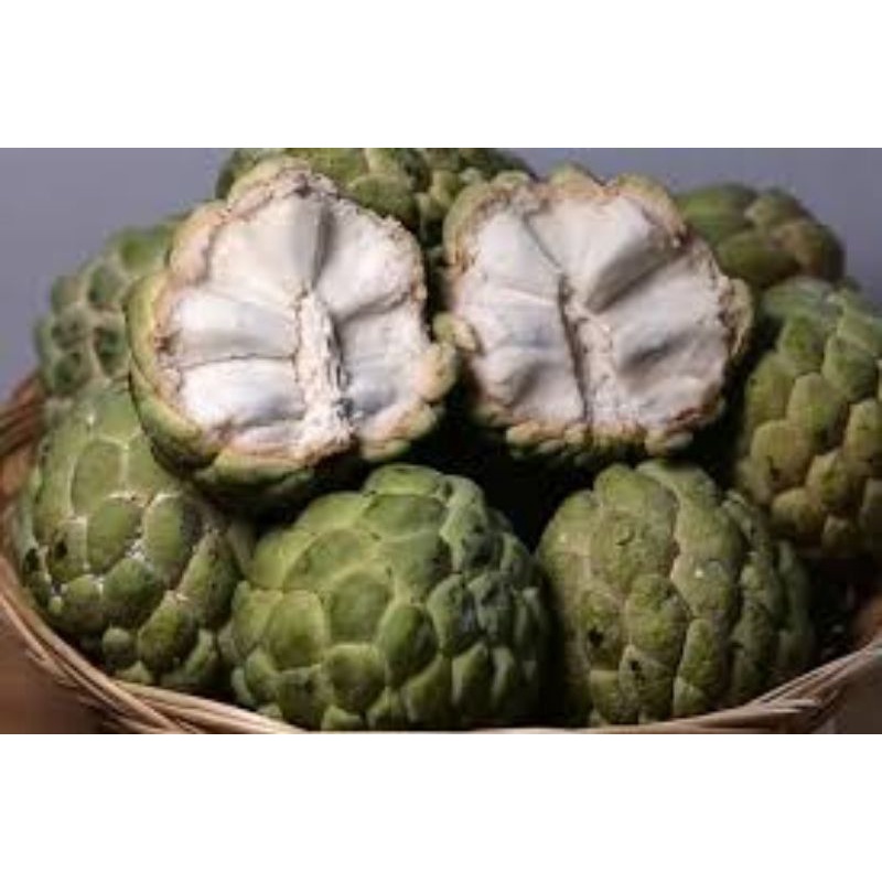 

Buah srikaya 500 gram