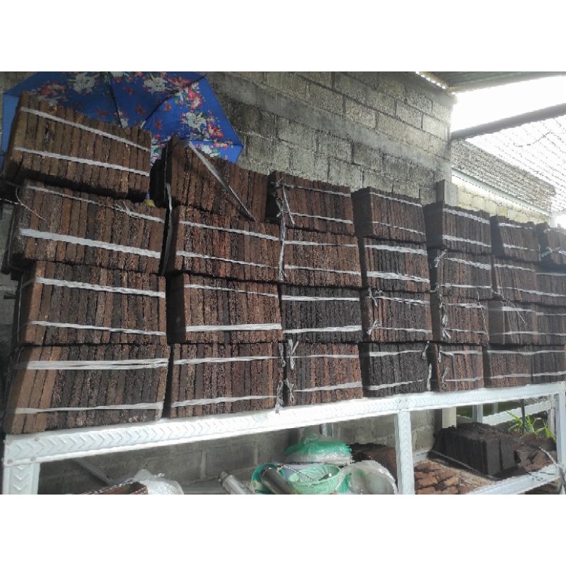 Papan pakis media tempel anggrek