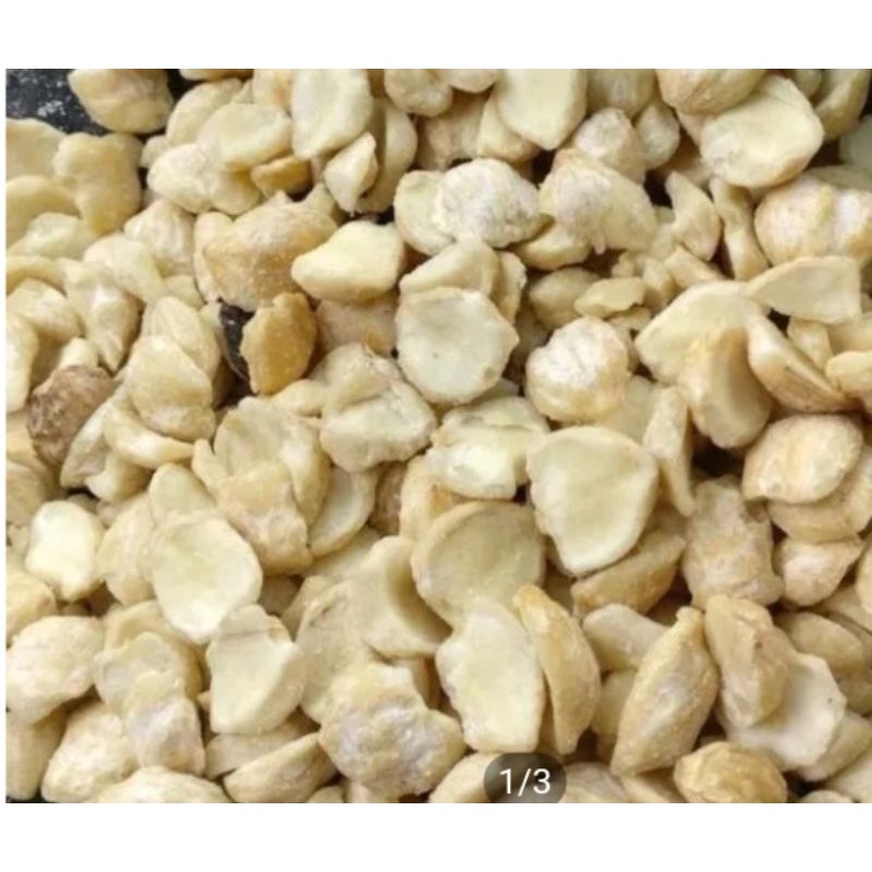 

biji kemirizm sumper fress 1kg murah