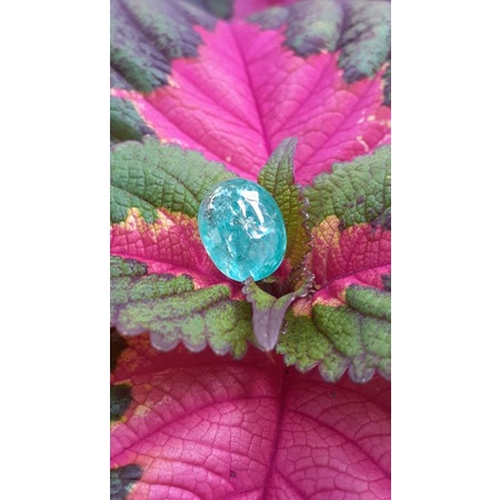 natural [EMERALD BERYL COLOMBIA MINOR OIL WITH MEMO] emban cincin pria wanita ring perak emas