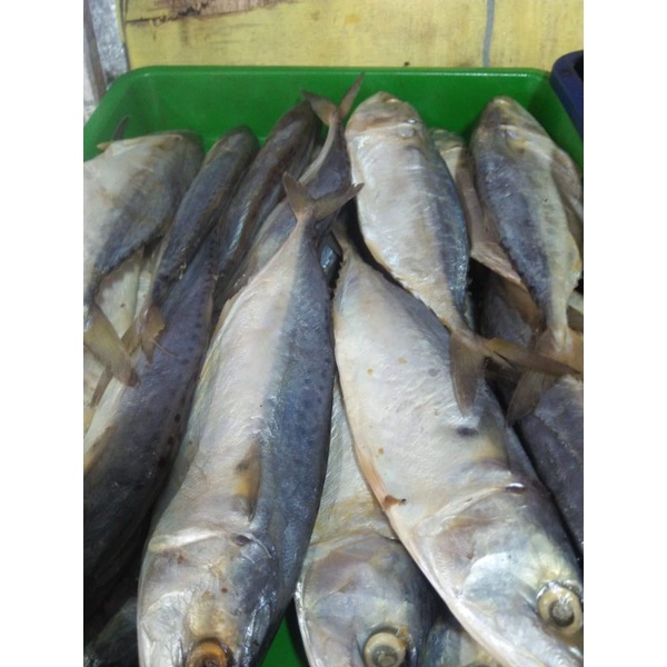 

ikan asin peda putih uk besar kualitas super berkualitas harga murah 1kg