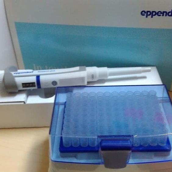 Micropipette Eppendorf Mikropipet Adjustable Eppendorf Research Plus