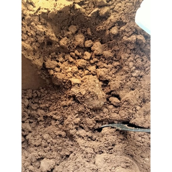 

1 Kg KOPI BUBUK ASLI SEMENDE