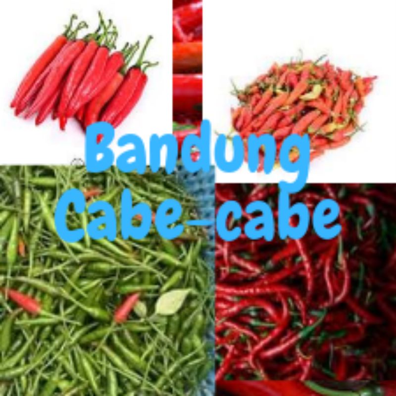 

bandung cabe cabe
