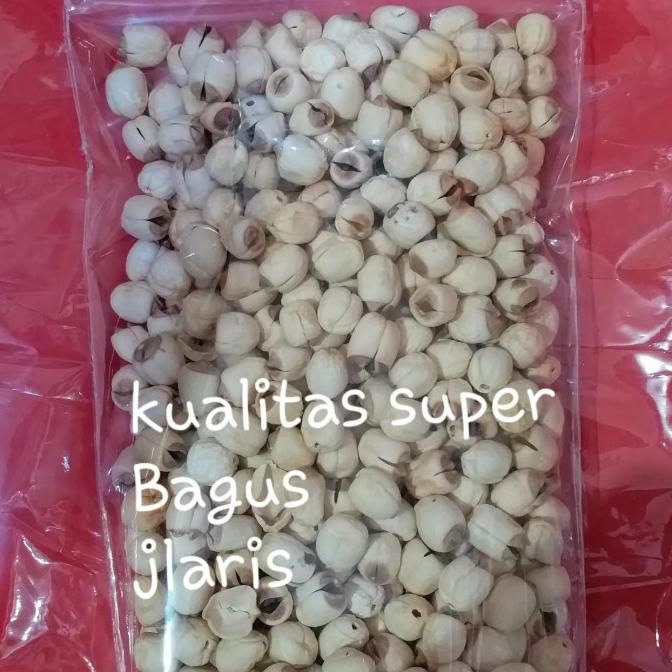 

Promo biji teratai/lienci @500 gr