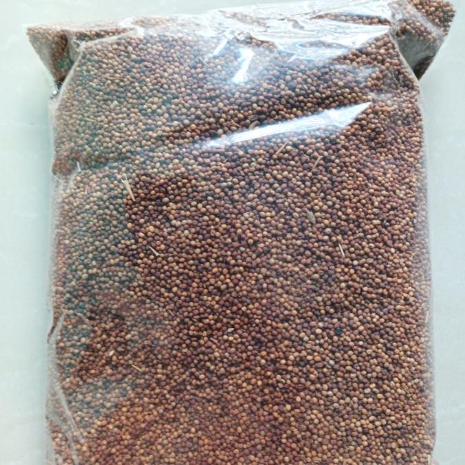 

Promo 1 KG 1KG 1000 GR BAI JIE ZI YELLOW MUSTARD SEED SEEDS BIJI SAWI KUNING