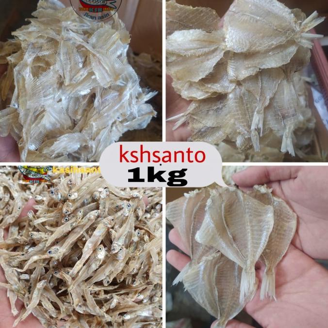 

Promo ikan asin Aneka jenis TAWAR-1kg