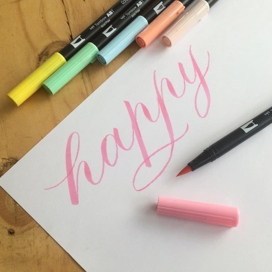 

Terlaris Tombow Dual Brush Pen - 06/06