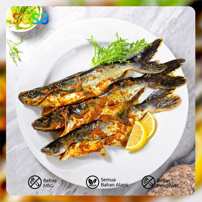 

Ikan Patin Bumbu Kuning 400 - 500 g Kualitas Terbaik