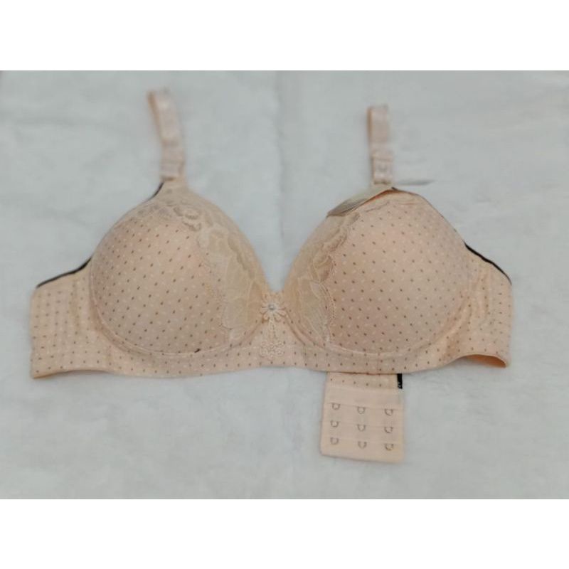 Ecer Bra Wanita 8945 Gaixin , motif Pengait 3 Import Termurah