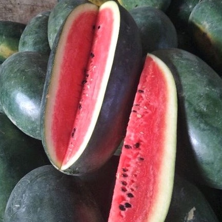 

semangka lonjong merah / berbiji manis per 1 pcs