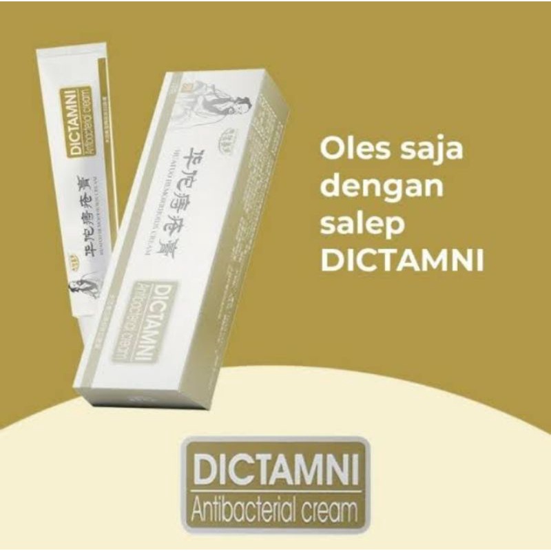 Salep Wasir DICTAMNI Original Obat Cina