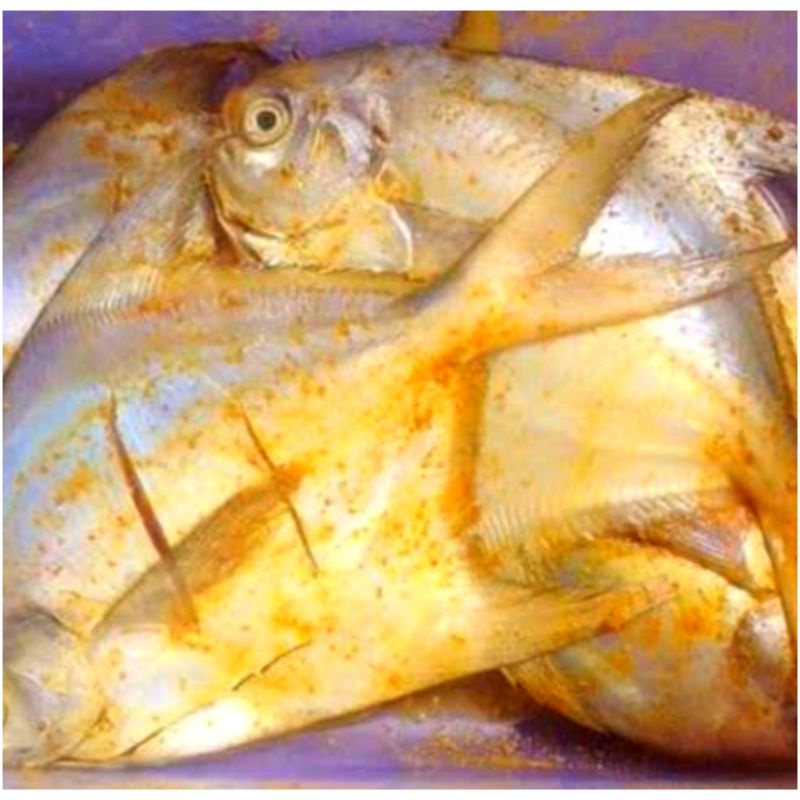 

IKAN BAWAL LAUT BUMBU KUNING (500 GRAM)