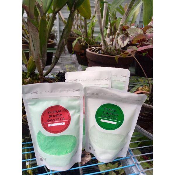 pupuk gaviota