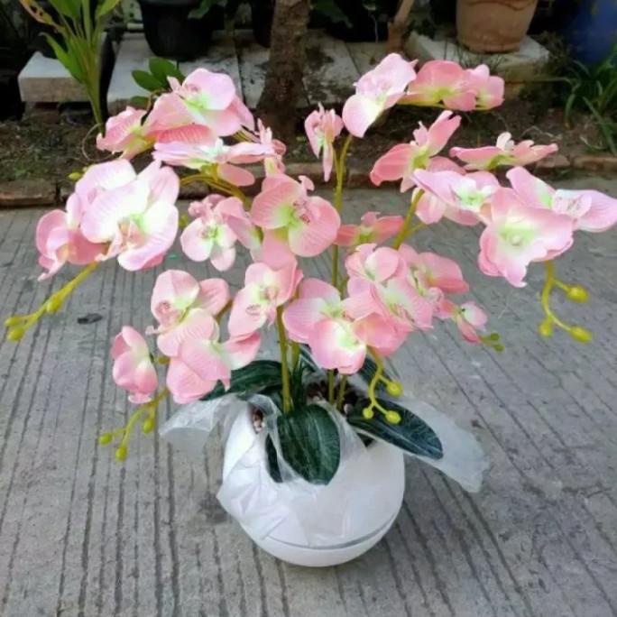 BUNG ANGGREK BULAN BUNGA HIAS ARTIFICIAL PLASTIK+ POT BOLA VIENTA