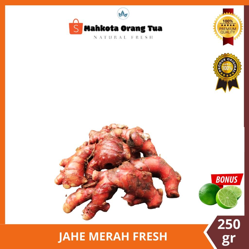 

JAHE MERAH FRESH 250GR [ TERMURAH BERKUALITAS ]