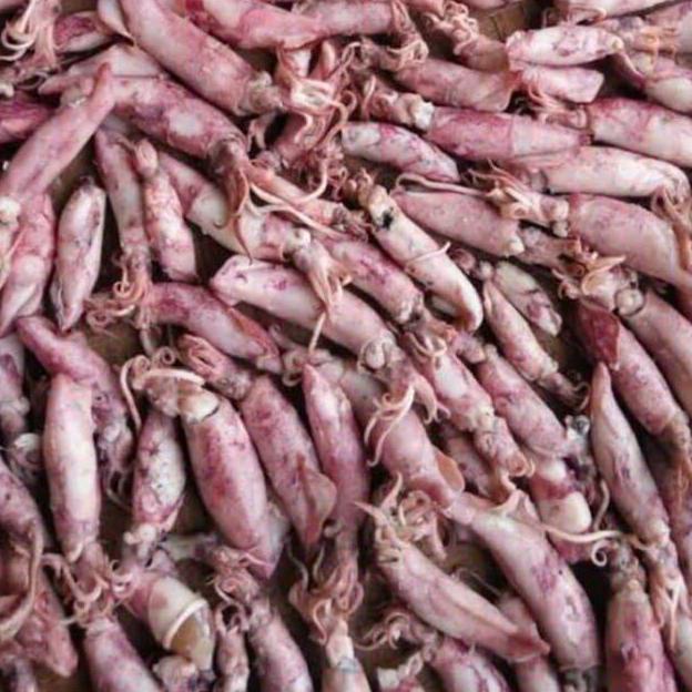 

[Z0P] Grosir Ikan Asin Cumi Asin 100 gram Segar 39100