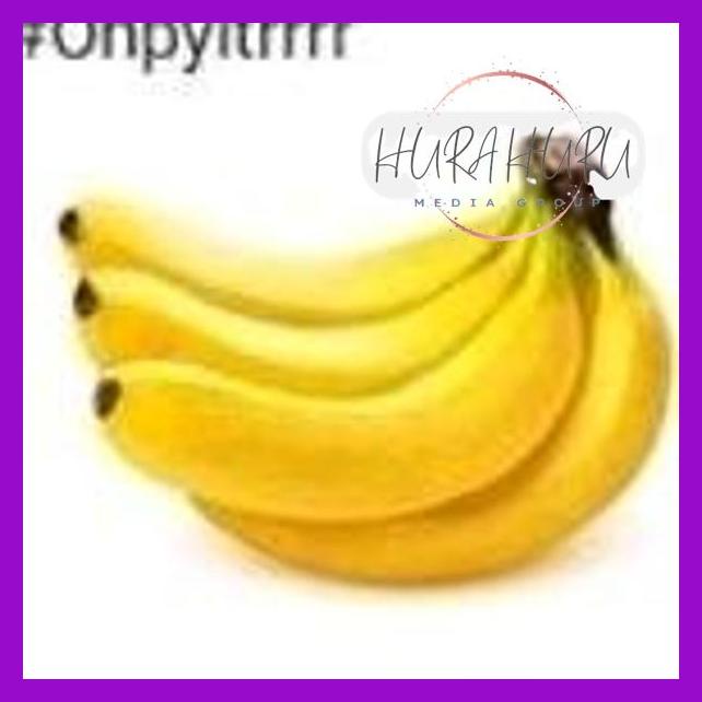 

Pisang Kepokyelou Murah Banget !!