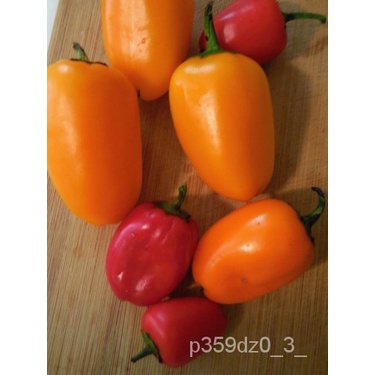 

ลBell Pepper dariดธ25Di Atas Kotak Makan SiangัุManis-เมน Tennessee-Granul!Sajian Kudapan์Cocokพ็Ben